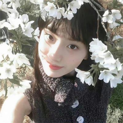 秘密森林